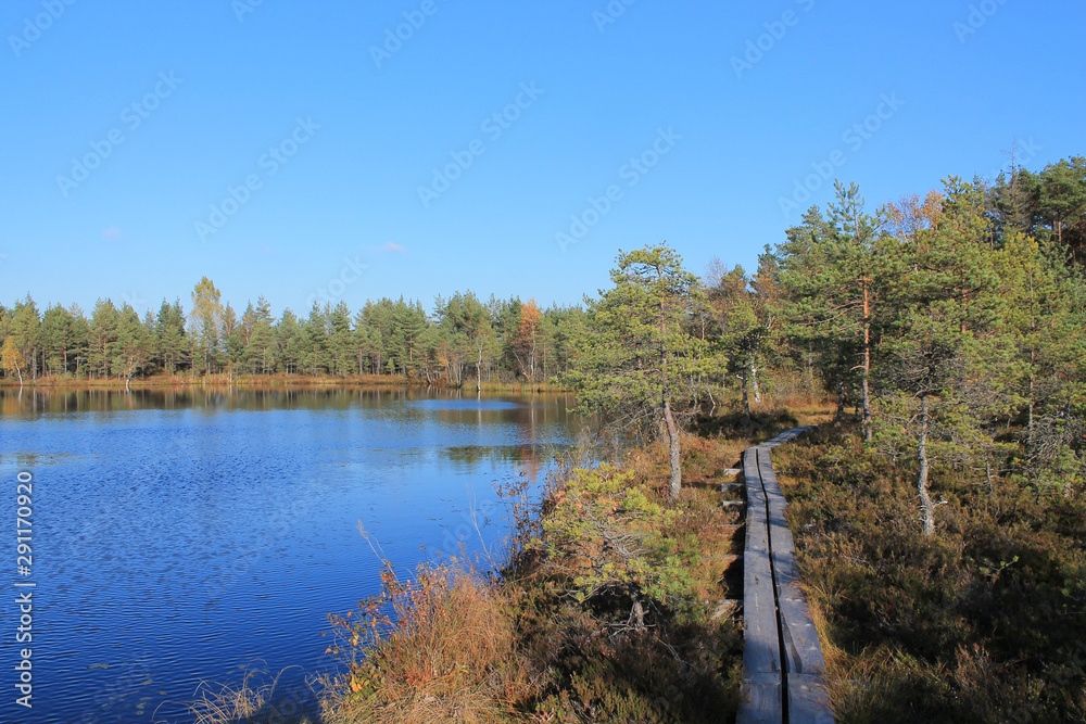 Nature trail to the right of the forest lake. Autumn landscape. Nature trail to the right of the forest lake. Autumn landscape.