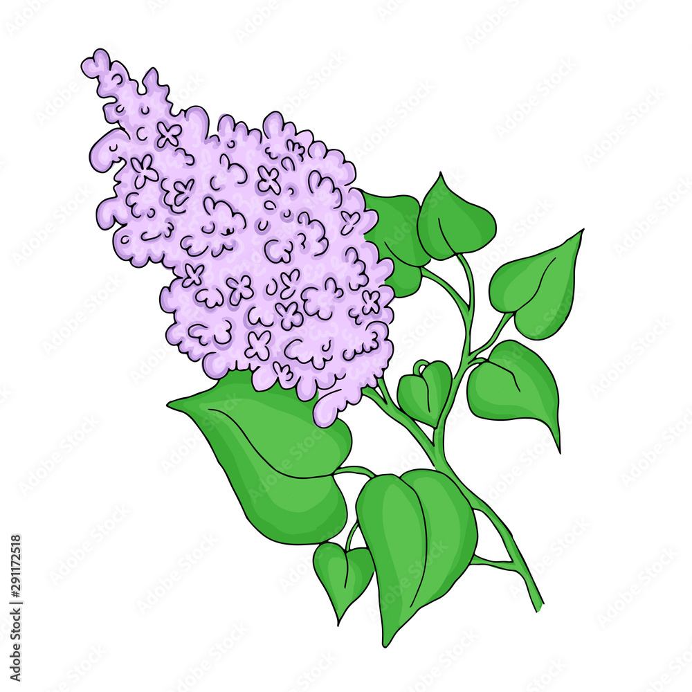 Obraz premium Kwitnący bez