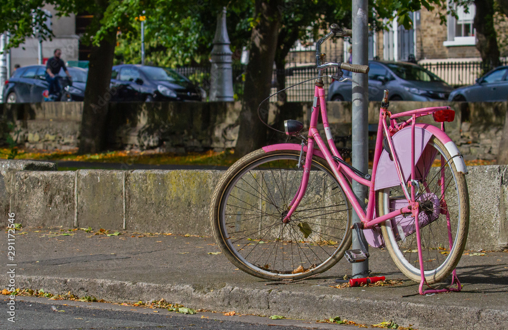 Pink bike bicycle on tree lined street, Grand Canal, Dublin, Ireland. Cyclist and green trees in background on sunny day Pink bike bicycle on tree lined street, Grand Canal, Dublin, Ireland. Cyclist and green trees in background on sunny day