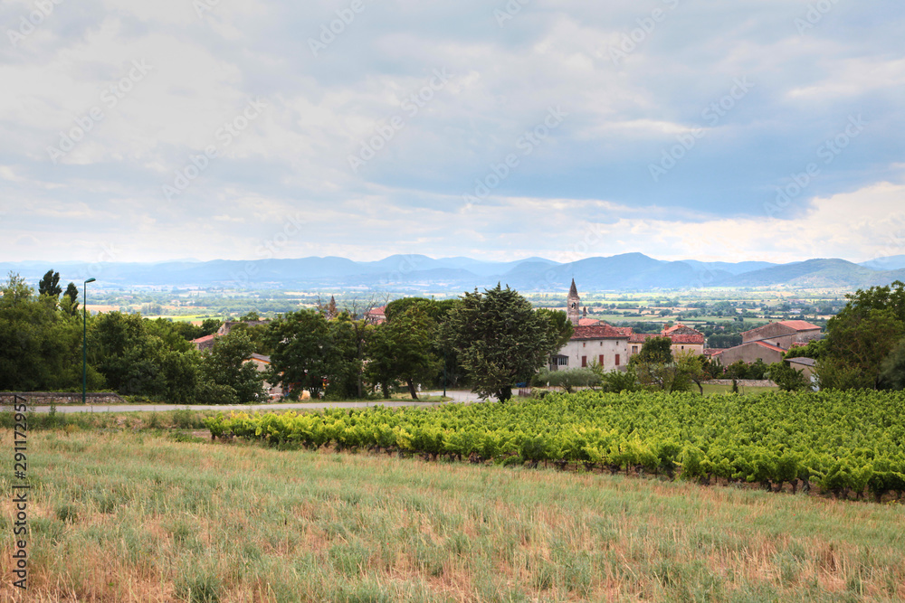 View of the vineyard and the old town of Barjac, southern France. Beautiful landscape with a bell tower and mountains on the horizon