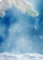Beautiful snowy winter landscape with a snowy fir branch, snowflakes and blue sky. Winter christmas background.