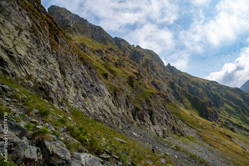 Mountain path crossed by a tourist at the base of the Carpathian mountains