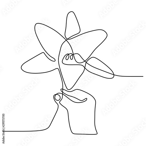 Fotografie, Obraz continuous one line drawing lily flower isolated on white background vector illu