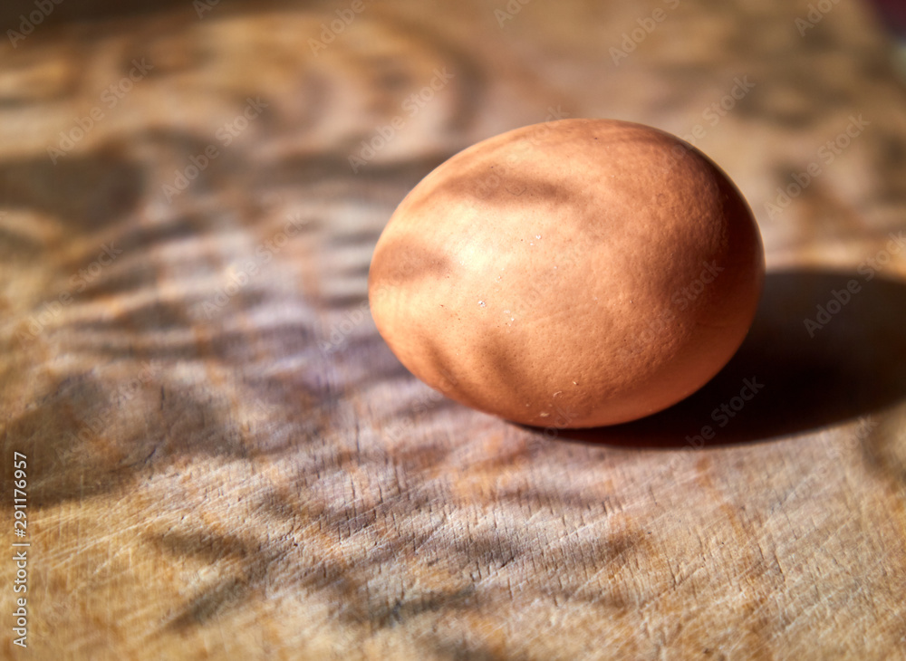 Fototapeta premium Brown chicken egg on a wooden surface