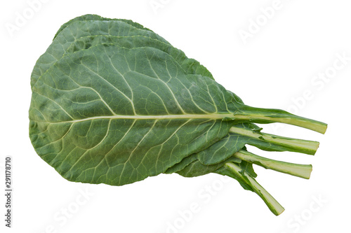 Collard Greens (Brassica oleracea) photo