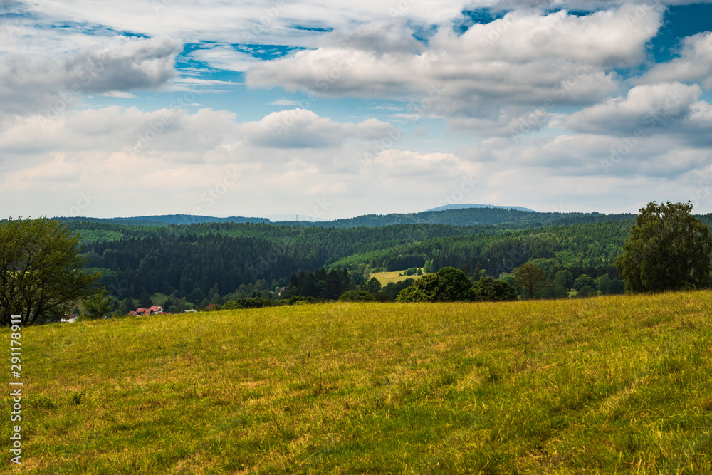 Sommer im Thüringer Wald