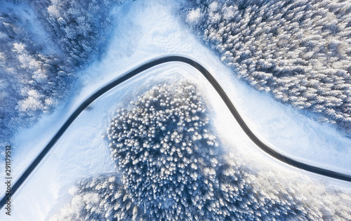 Aerial view on road and forest at the winter time. Natural winter landscape from drone. Winter - image © biletskiyevgeniy.com