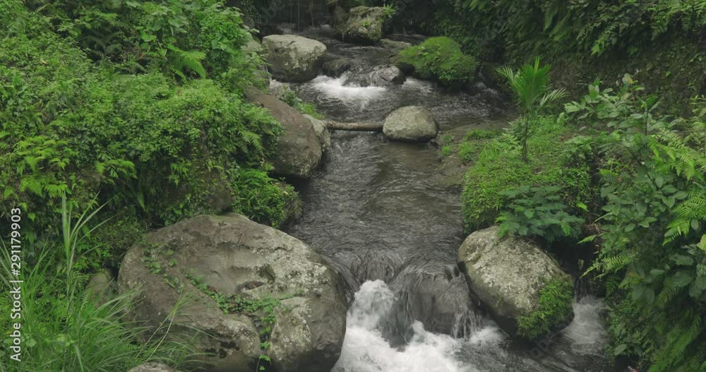 River in the Jungle River in the Jungle