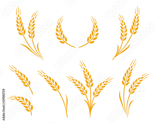 golden natural wheat ears icons logo set