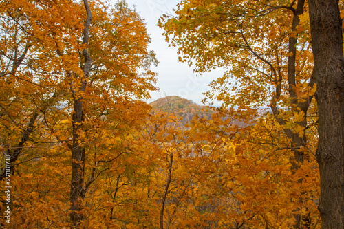 Shallenberger State Nature Preserve in Autumn, Lancaster, Ohio photo