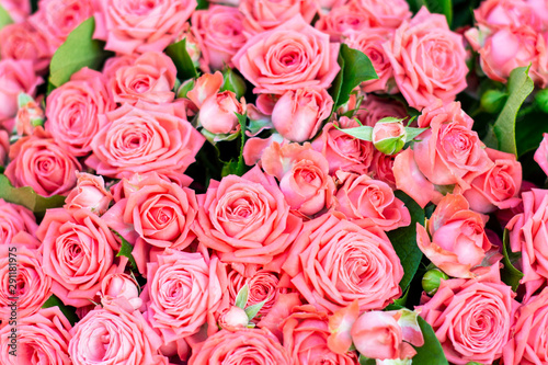 A lot of pink romantic roses in a bouquet on top for a gift and expression of feelings. Background.