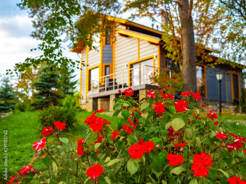Bright flowers on the backg...