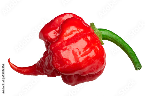 Konstfotografi Carolina reaper pepper c. chinense, paths