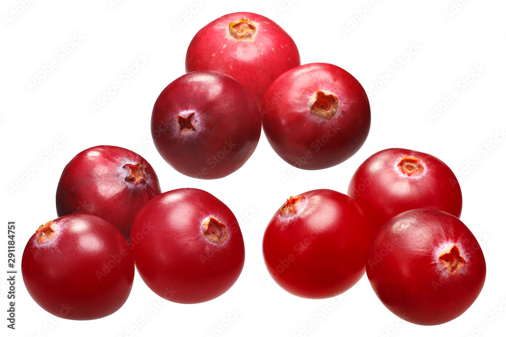 Three cranberries v. oxycoccs, paths Three cranberries v. oxycoccs, paths