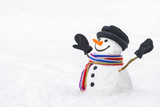 Cute snowman with a beautiful smile