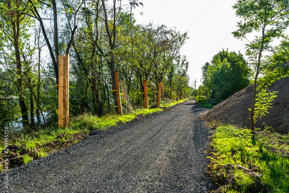 A dirt road under construction, between the trees, visible gravel and wooden boards protecting trees from damage. A dirt road under construction, between the trees, visible gravel and wooden boards protecting trees from damage.