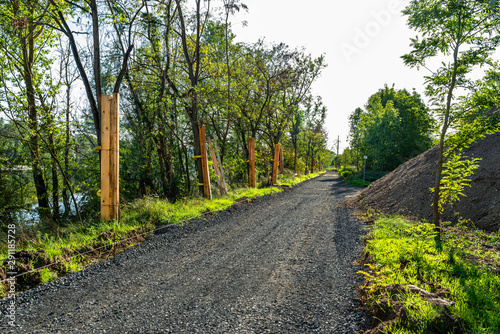 A dirt road under construction, between the trees, visible gravel and wooden boards protecting trees from damage.