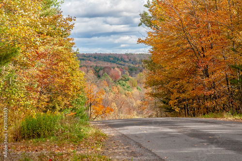 Scenic Country Road in the Season of Fall