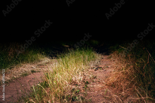 view of a dirt road in summer  