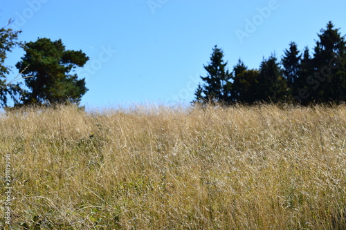 Berheide Eifel photo