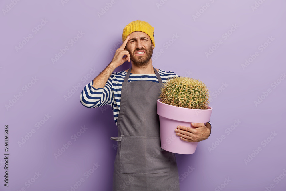 Unhappy male florist has headache, touches temple with index finger, dressed in striped jumper and apron, holds potted cactus grown by himeself, poses against purple background, thinks deeply Unhappy male florist has headache, touches temple with index finger, dressed in striped jumper and apron, holds potted cactus grown by himeself, poses against purple background, thinks deeply
