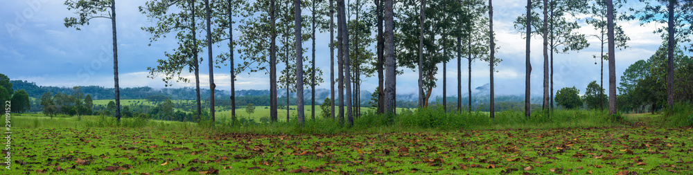 Fototapeta premium Panoramic view of tree and mountains national park, Thailand.