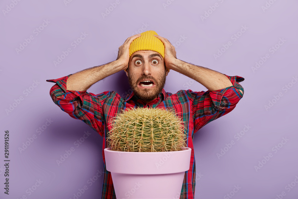 Photo of terrified young man keeps both hands on head, cannot believe he grew such big plant at home, wears checkered shirt and yellow hat, being successful florist, stands indoor over purple wall Photo of terrified young man keeps both hands on head, cannot believe he grew such big plant at home, wears checkered shirt and yellow hat, being successful florist, stands indoor over purple wall