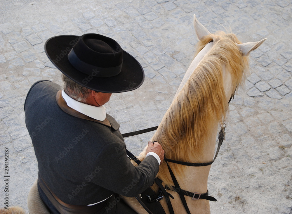 Cavaleiro vestido com roupa vintage a montar um cavalo branco Stock Photo |  Adobe Stock