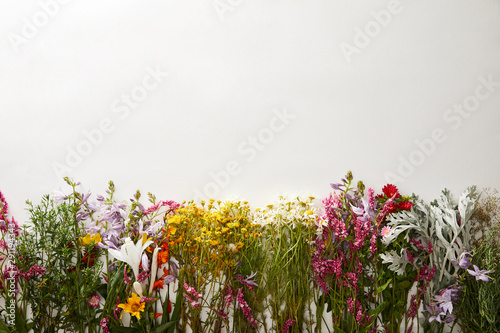 top view of wildflowers on white background with copy space © LIGHTFIELD STUDIOS