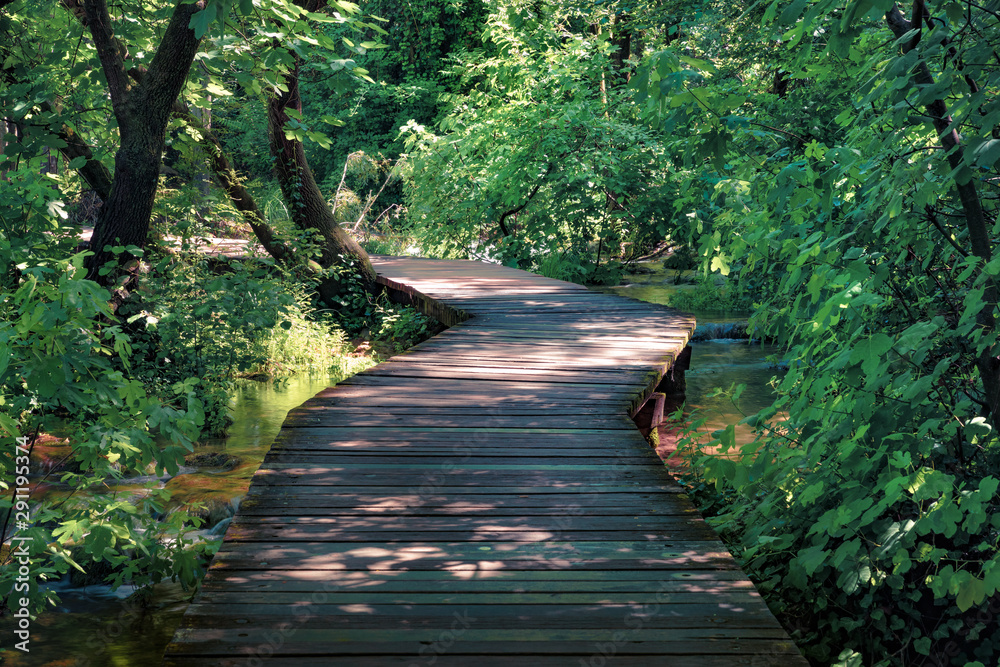 Naklejka premium Wooden pathway in the deep green forest. Mystical summer scene of Krka National Park, Croatia, Europe. Beautiful world of Mediterranean countries. Beauty of nature concept background.