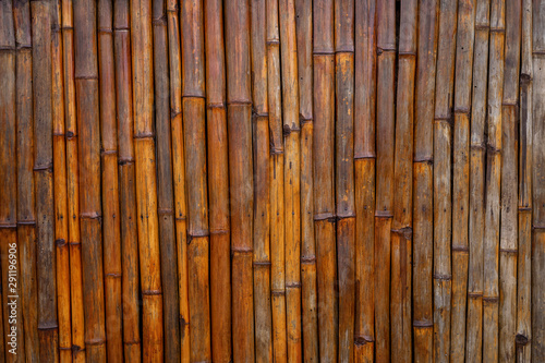 background of bamboo