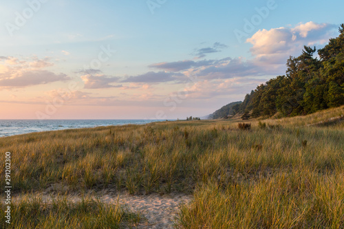 sunset by the lake with beach grass