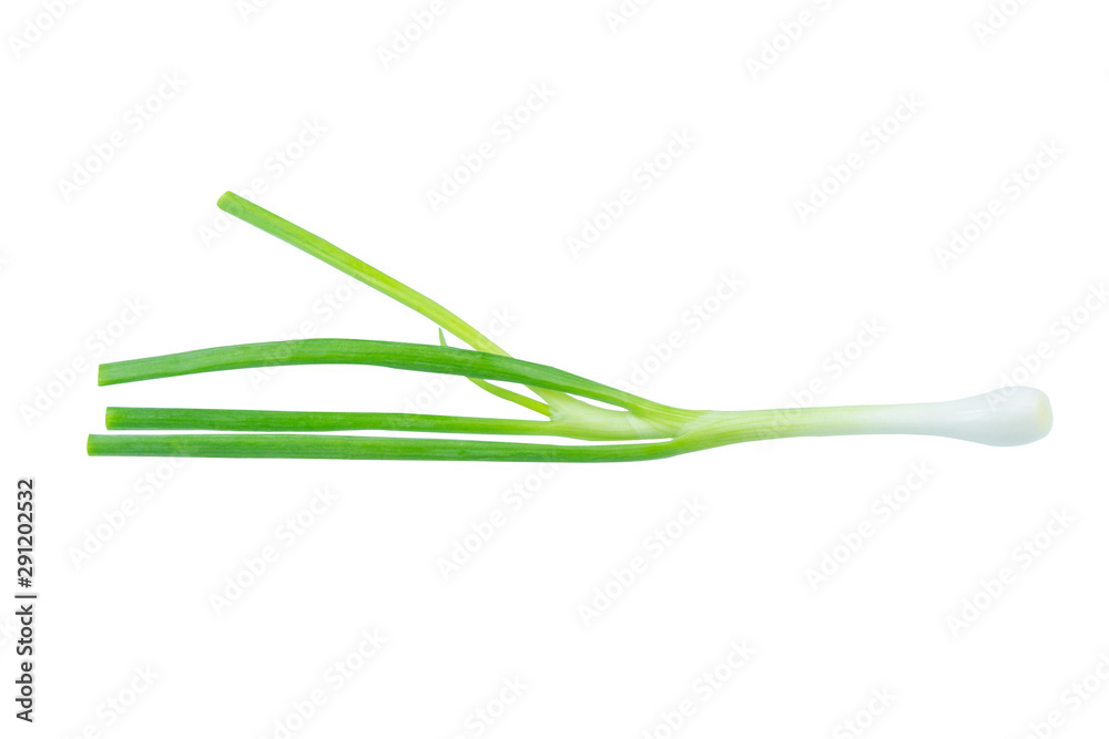 Green onion isolated on white background with clipping path. Green onion isolated on white background with clipping path.