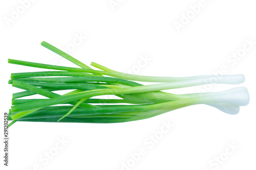 Green onion isolated on white background with clipping path.