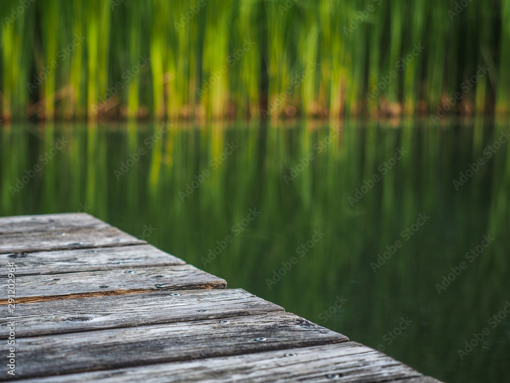 Obraz premium Wooden pier on a natural pond surrounded by reed