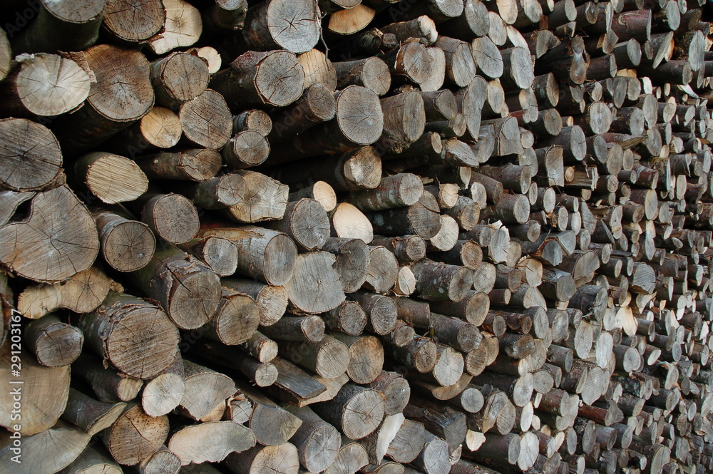 Holzscheite Holzscheite