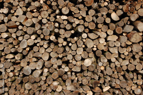 Holzscheite