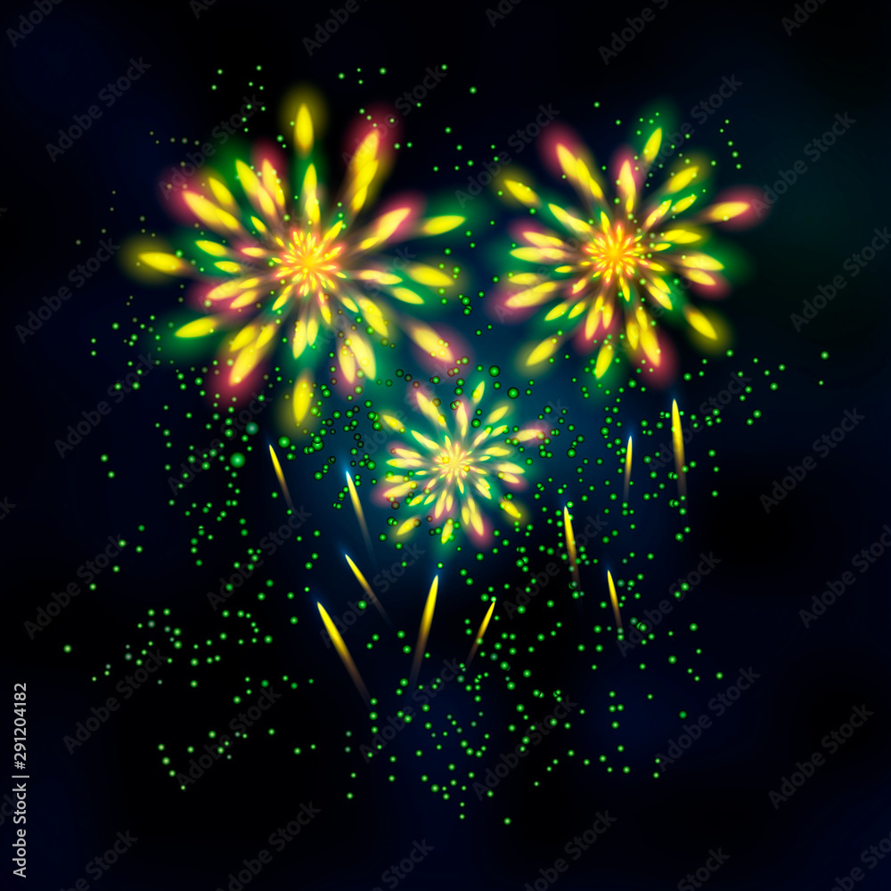 Fototapeta premium Firework at the night sky. Vector ullustration