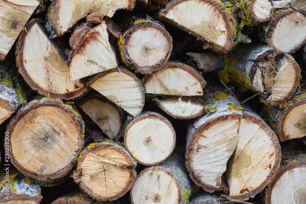 Stack of logs. Stack of firewood close up. Logs cuts prepared for fireplace. Woodpile. Wood for fireplace. Wood for winter. Firewood background . Stack of logs. Stack of firewood close up. Logs cuts prepared for fireplace. Woodpile. Wood for fireplace. Wood for winter. Firewood background .