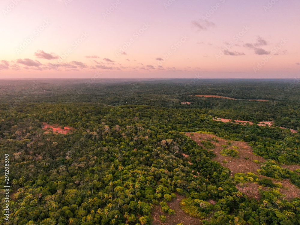 Aerial view of tropical forest during sunset