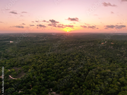 Aerial view of tropical forest during sunset