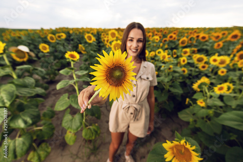 Beautiful young woman posing in sunflower field
