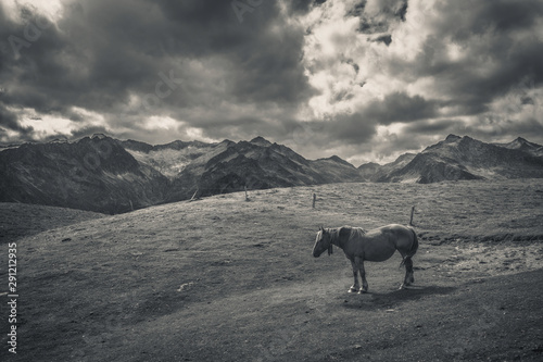 Black And White Horse With Mountains And Dramatic Clouds