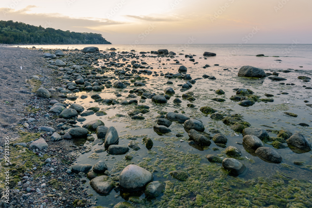 long exposure seascape, wooded ocean coast with rocks in the water at dusk