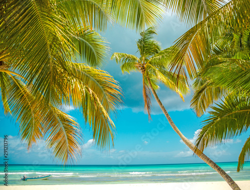palm trees over tropical lagoon with wild beach