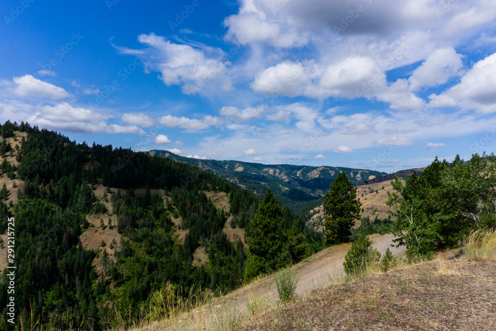 Naklejka premium Tiger Canyon