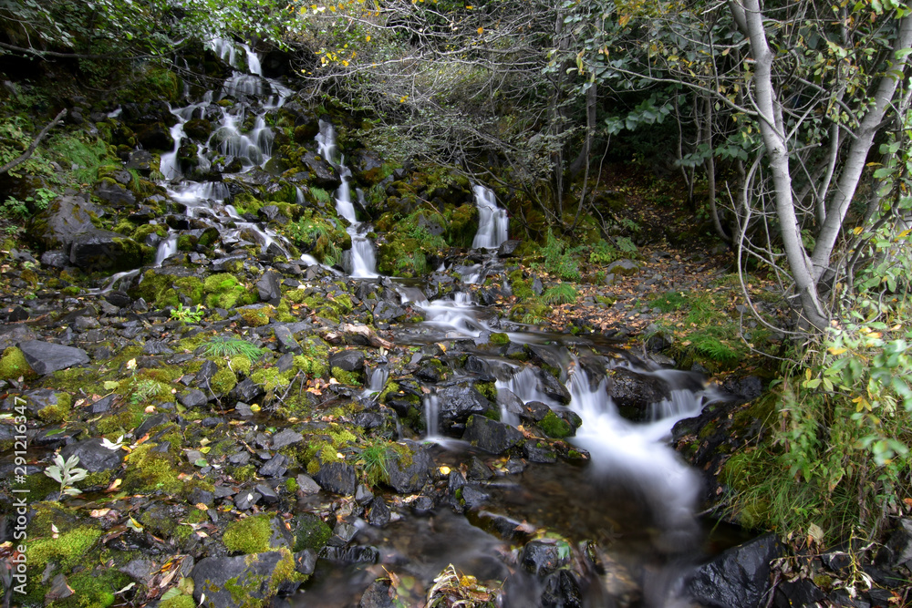 Autumn forest stream