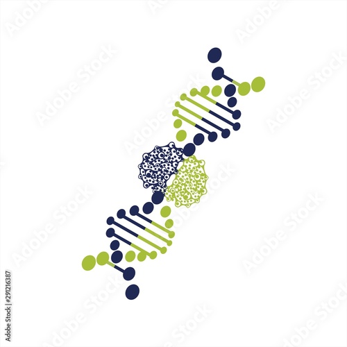 DNA helix biotechnology gene cell chromosome logo and vector icon