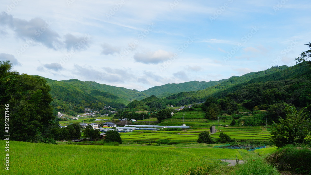 稲渕の棚田 稲渕の棚田