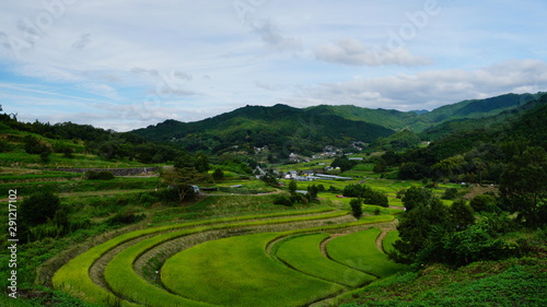 稲渕の棚田